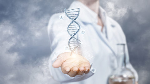 Dreamstime Xs 132863748 6355bfc19dedc