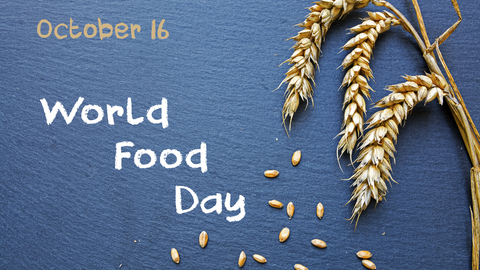 Dreamstime Xs 60640378 634d572868fa8