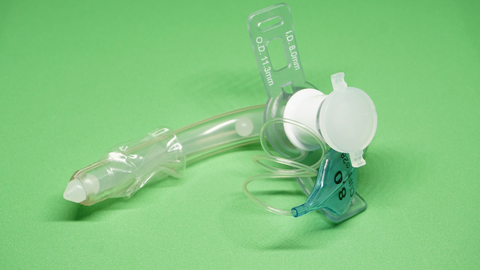 Dreamstime Xs 115353209 6361242571395