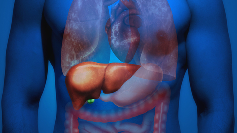 Dreamstime Xs 127617799 638a28f89ef4c