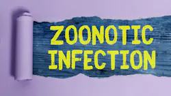 Dreamstime Xs 196749319 639cb3dca7871 Dreamstime Xs 196749319 639cb3dca7871