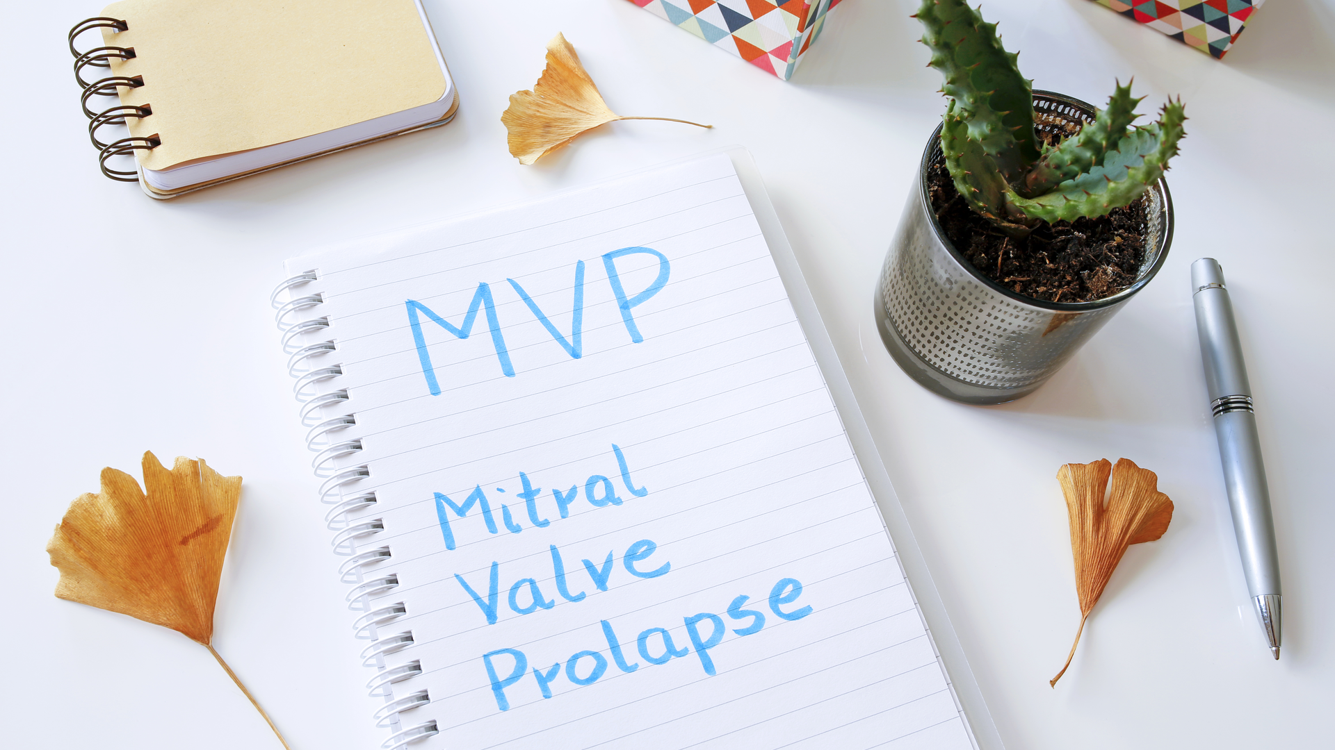 Dreamstime Xxl 117458869 63eb9a546a94d