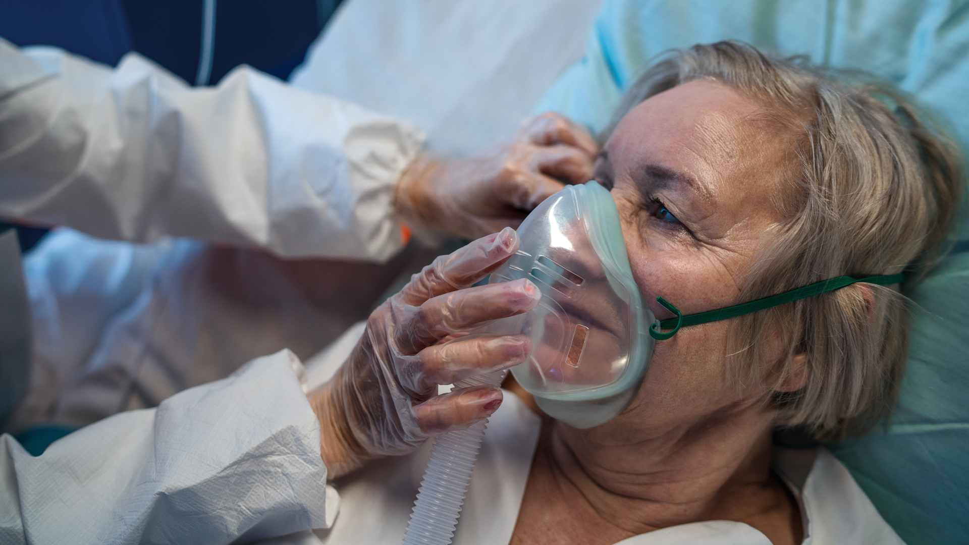 Dreamstime Xxl 202134009 63dd1a3e3f44a