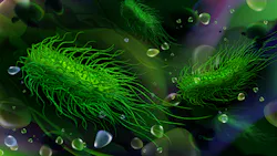 Dreamstime Xs 141805297 64139eacdd2e2 Dreamstime Xs 141805297 64139eacdd2e2