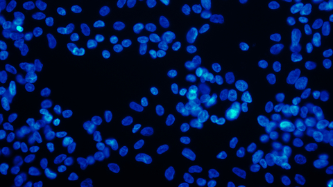 Dreamstime Xs 3586269 640b5452b2b9e