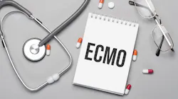 Dreamstime Xxl 219139297 64303f795c219 Dreamstime Xxl 219139297 64303f795c219