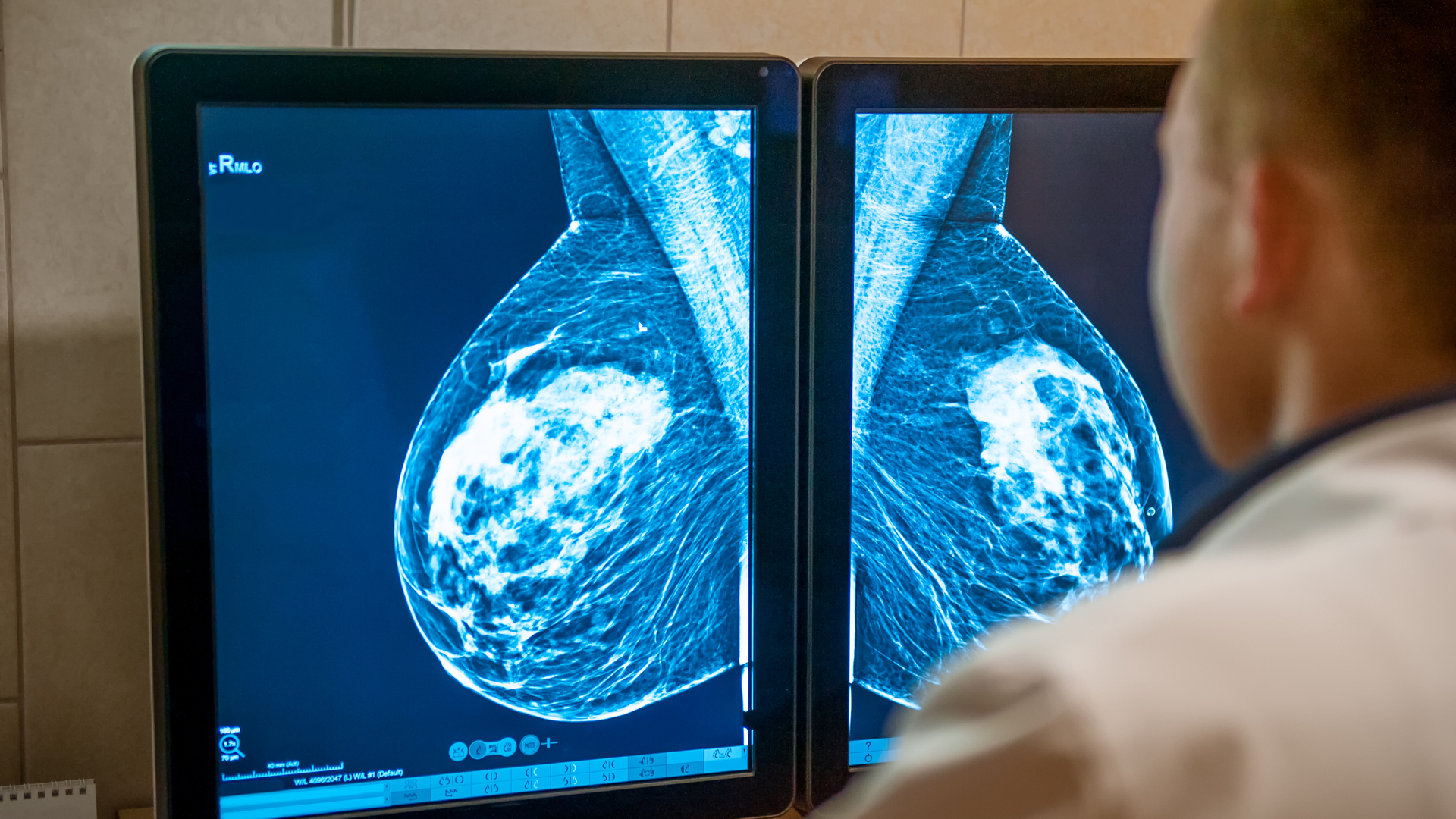 Dreamstime Xxl 110406702 645b9d62d5bb7