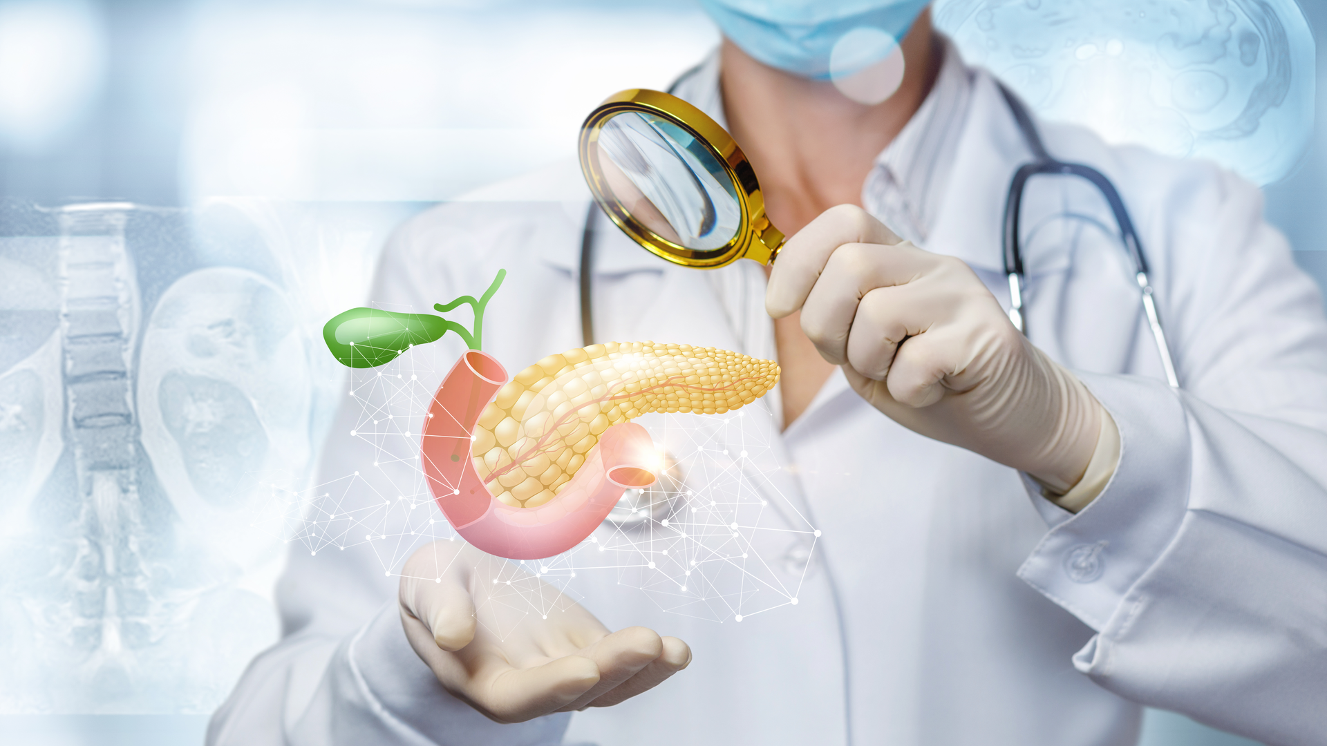 Dreamstime Xxl 155499419 1 645a4c31ed14d