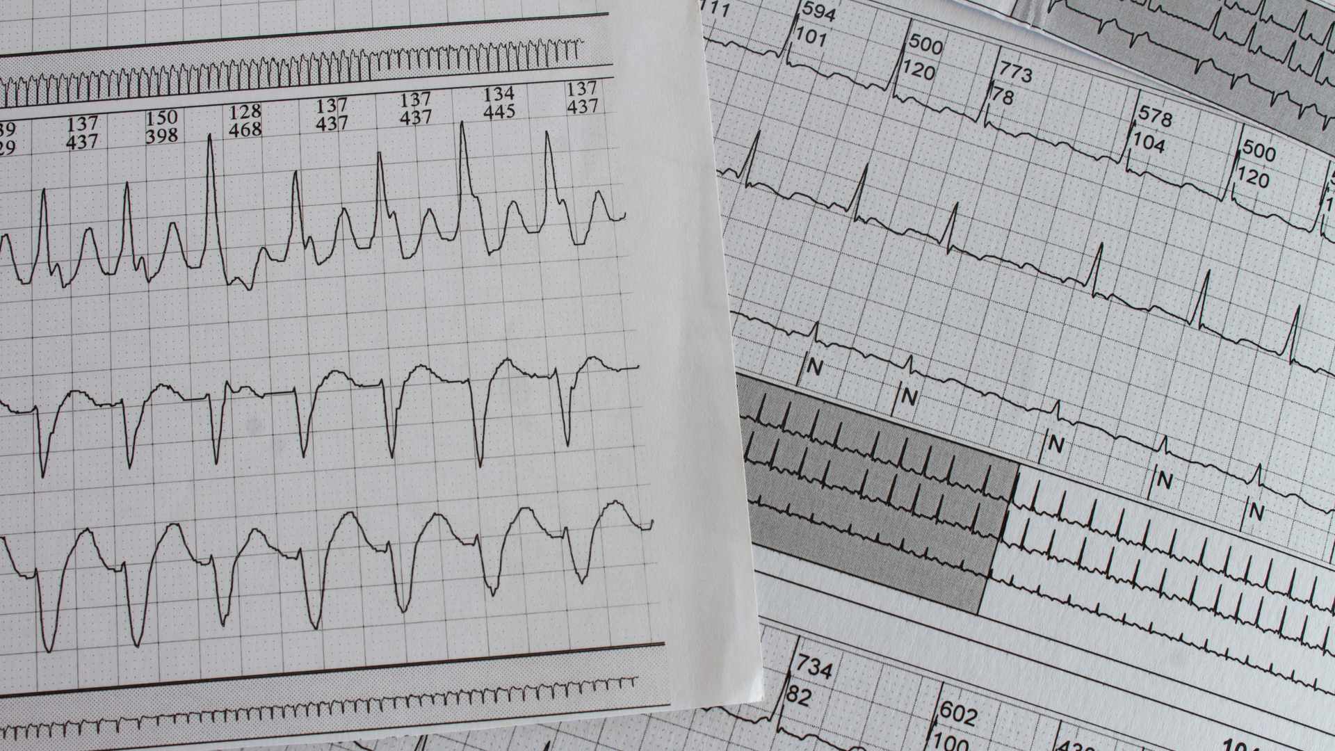 Dreamstime Xxl 212457386 644fc45ea8990