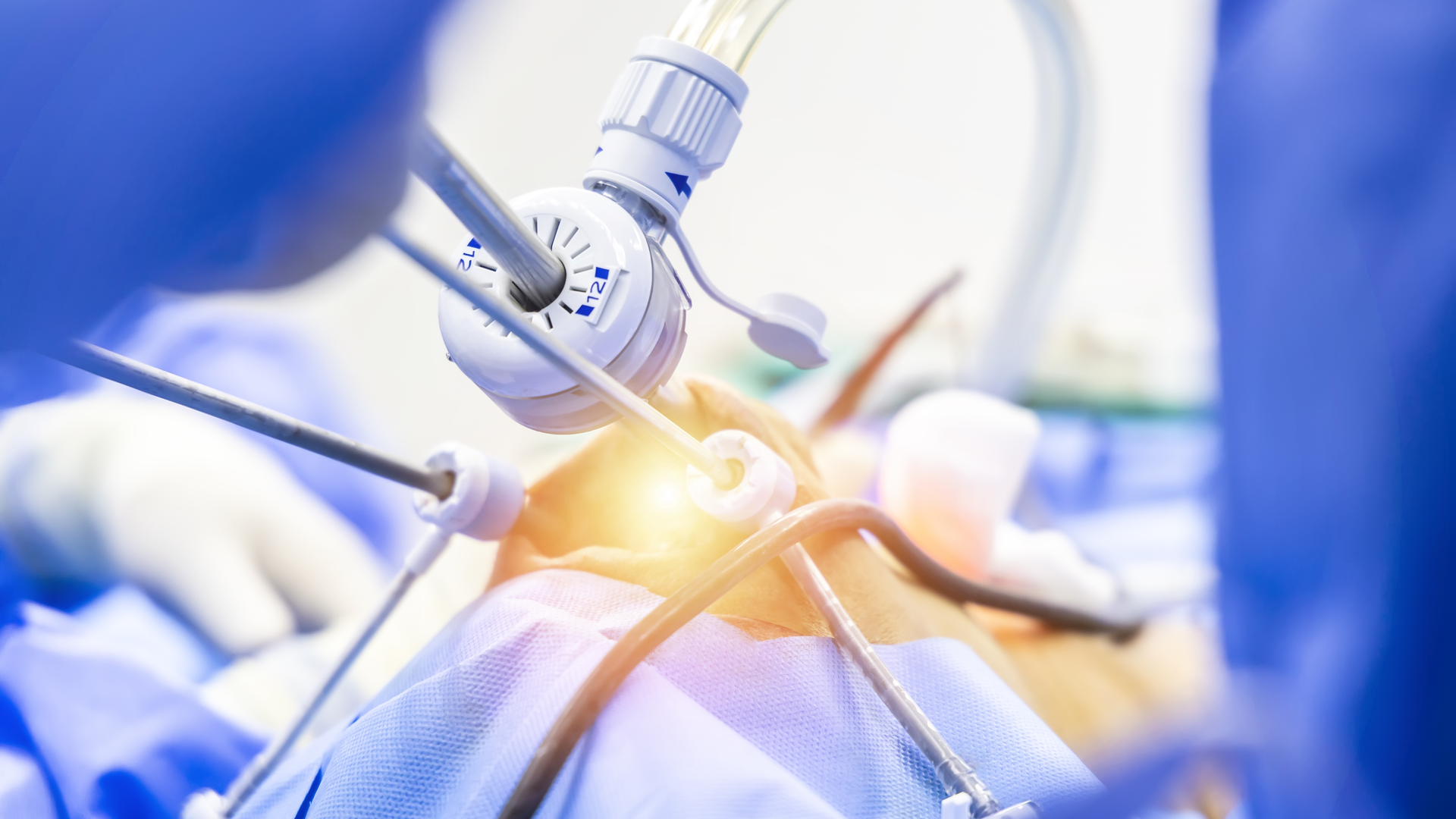 Dreamstime Xxl 271924138 64510df547d02