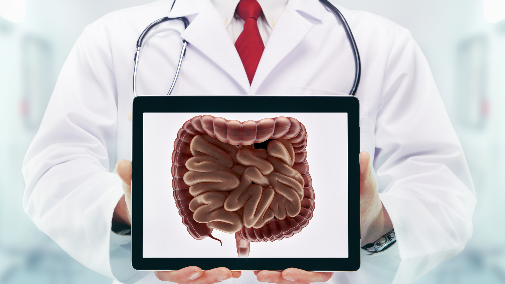 Dreamstime Xxl 53696623 645cecf808228