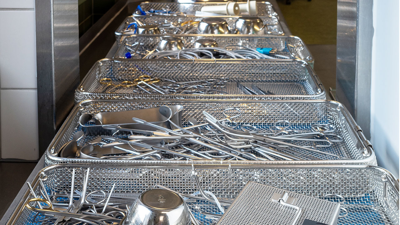 Dreamstime Xxl 246329645 Web 648093521c891