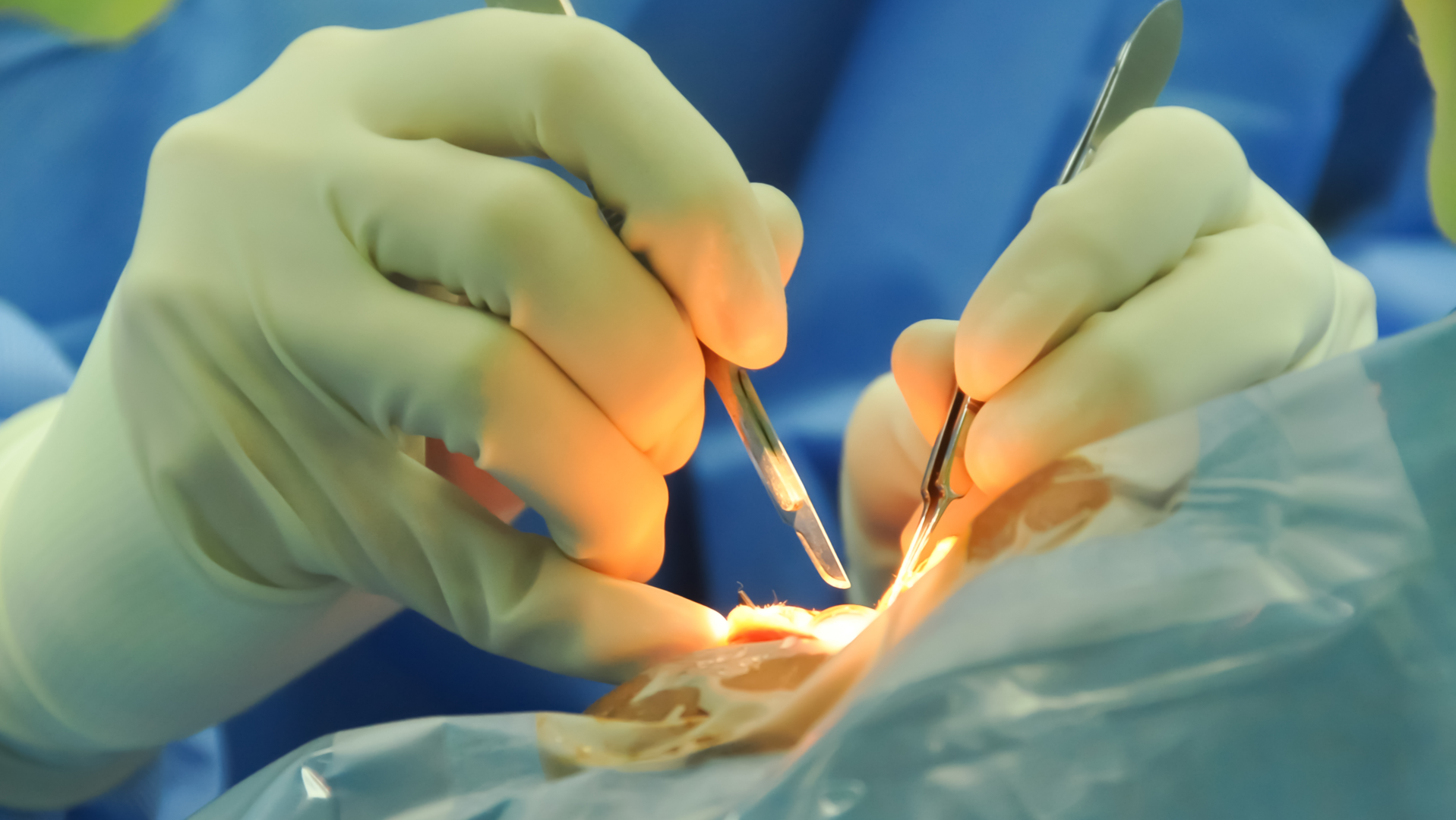 Dreamstime Xxl 38458680