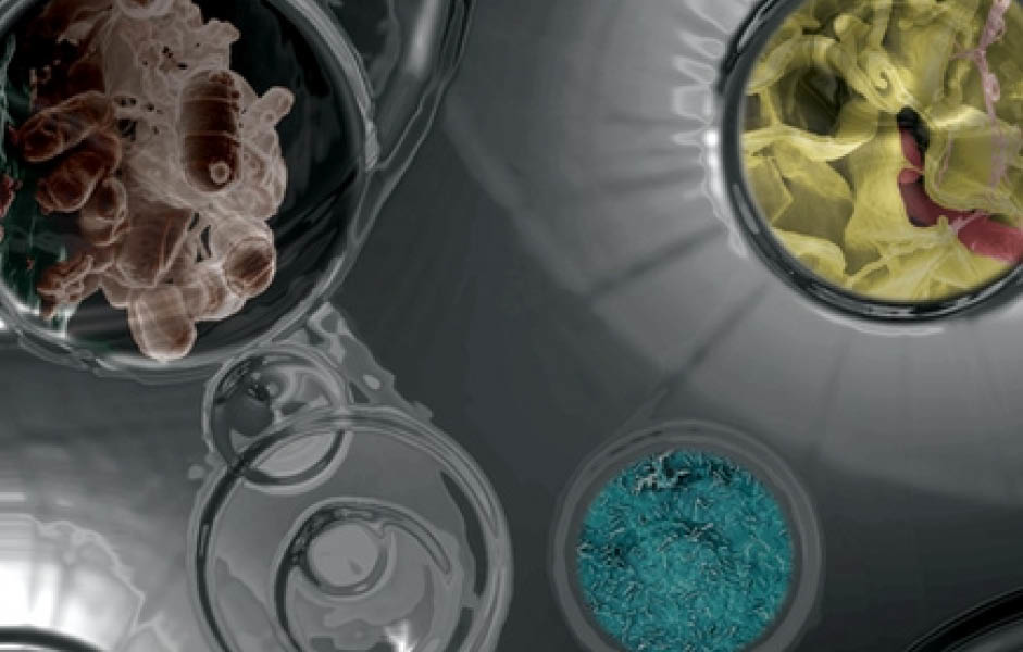 Intro Effective Technologies And Tools December 2022