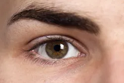 Dreamstime Xxl 17227962 650330899c956 Dreamstime Xxl 17227962 650330899c956