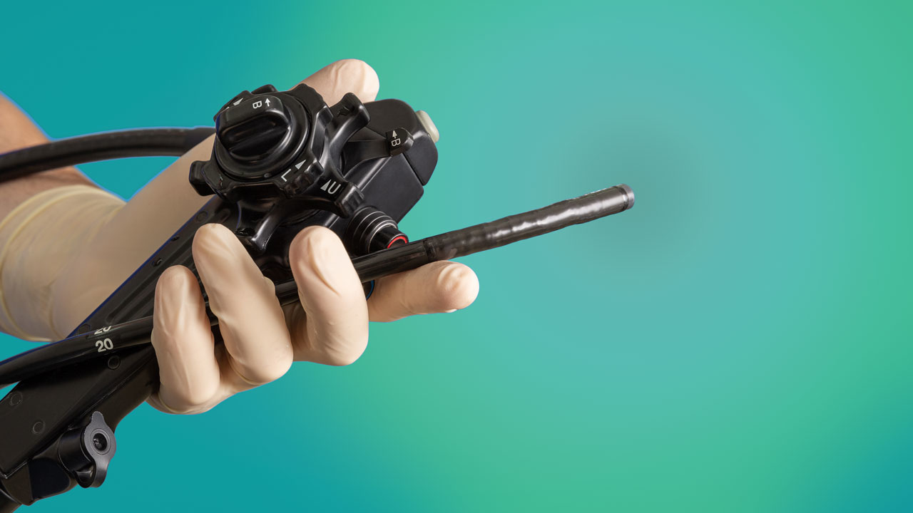 Products Primary 6525607add93f