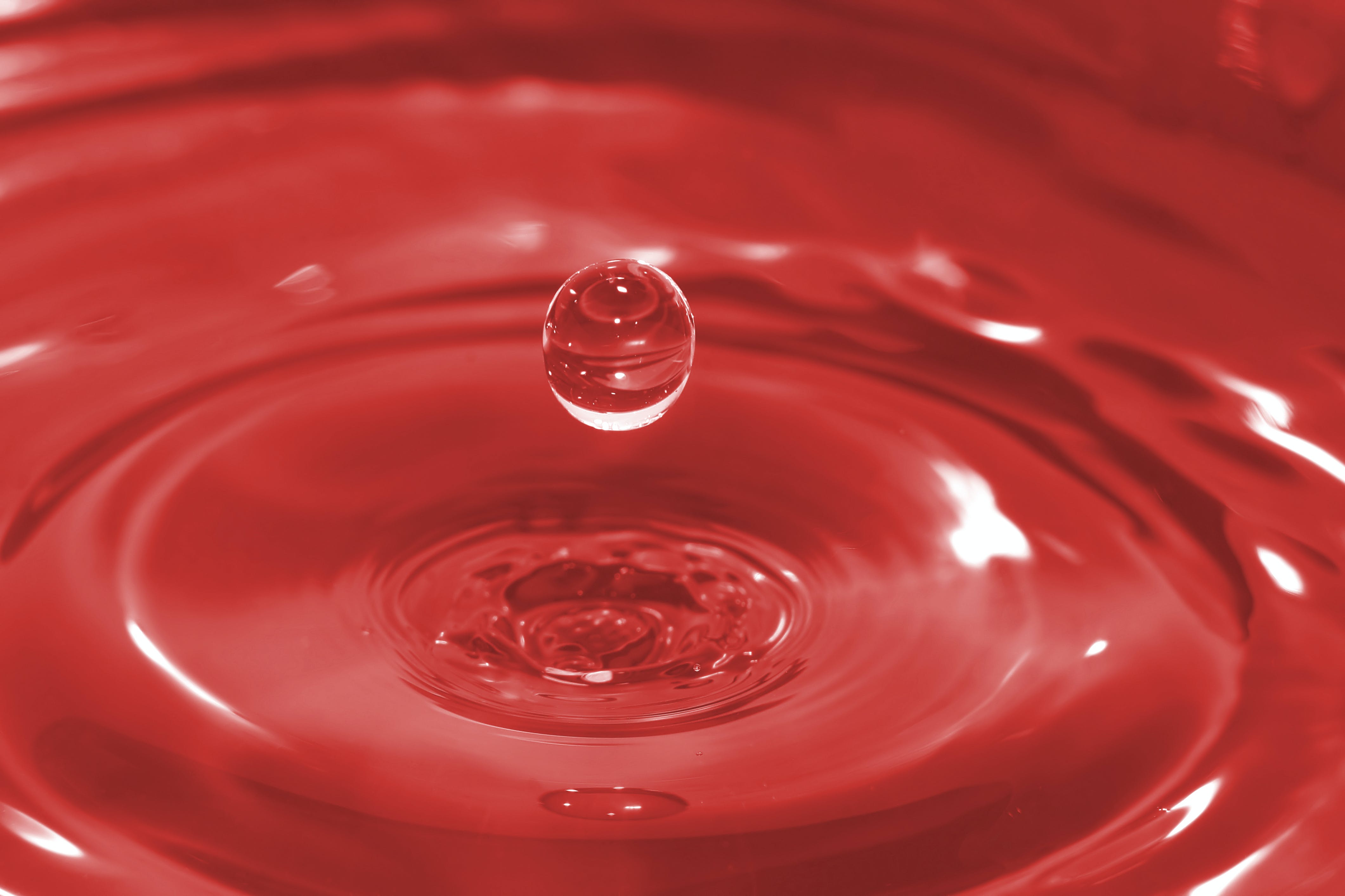 65525f9c7233ab001dfab403 Dreamstime Xxl 1423201