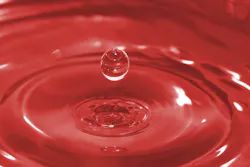 65525f9c7233ab001dfab403 Dreamstime Xxl 1423201 65525f9c7233ab001dfab403 Dreamstime Xxl 1423201