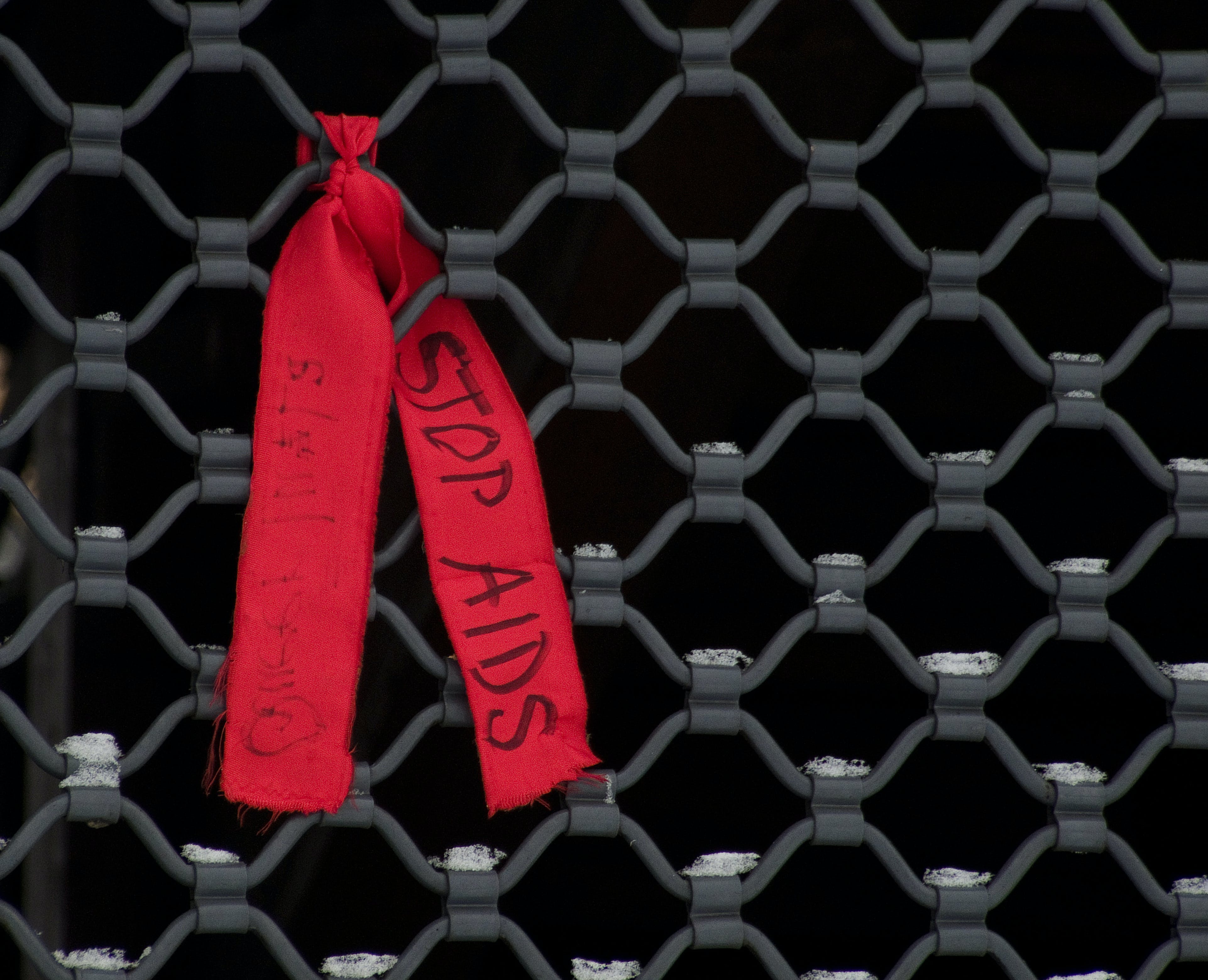 6568d9c40b7755001e2dfdf3 Dreamstime Xxl 3908951