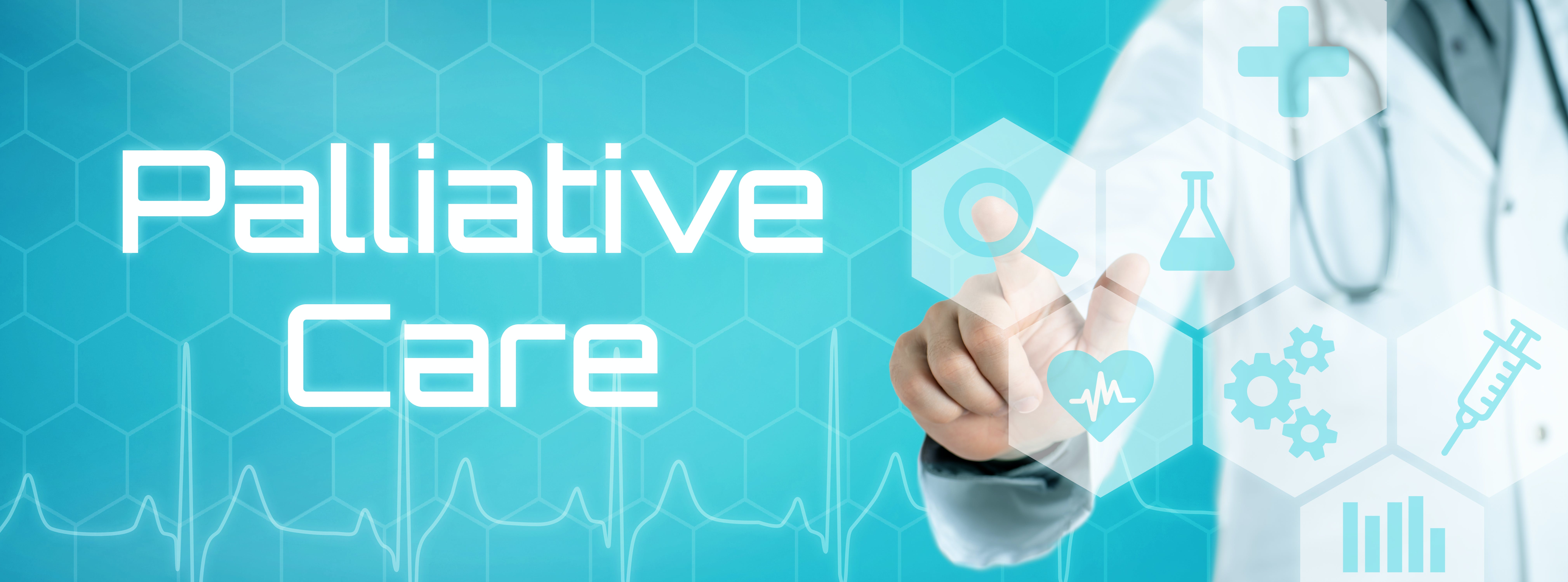 65b29be0c7c100001ecd835e Palliative