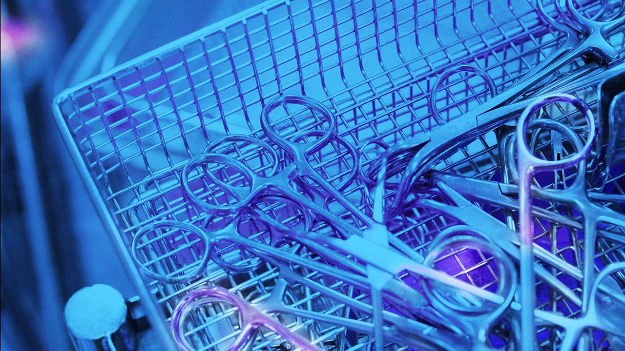 6606c71585dc16001f337590 Adobestock 268052145