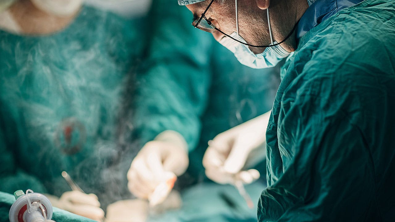 66353e496933b1e8ab74c8cc Webprimary