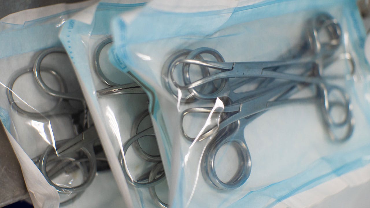 663a3a20965aaf6d34fdf4a3 Dreamstime Xxl 261278015 Cropped