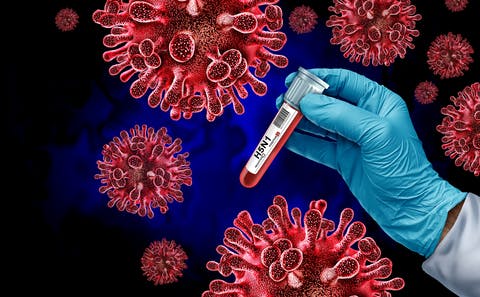 677d67d4ba9b3d0dabed884e H5n1 3