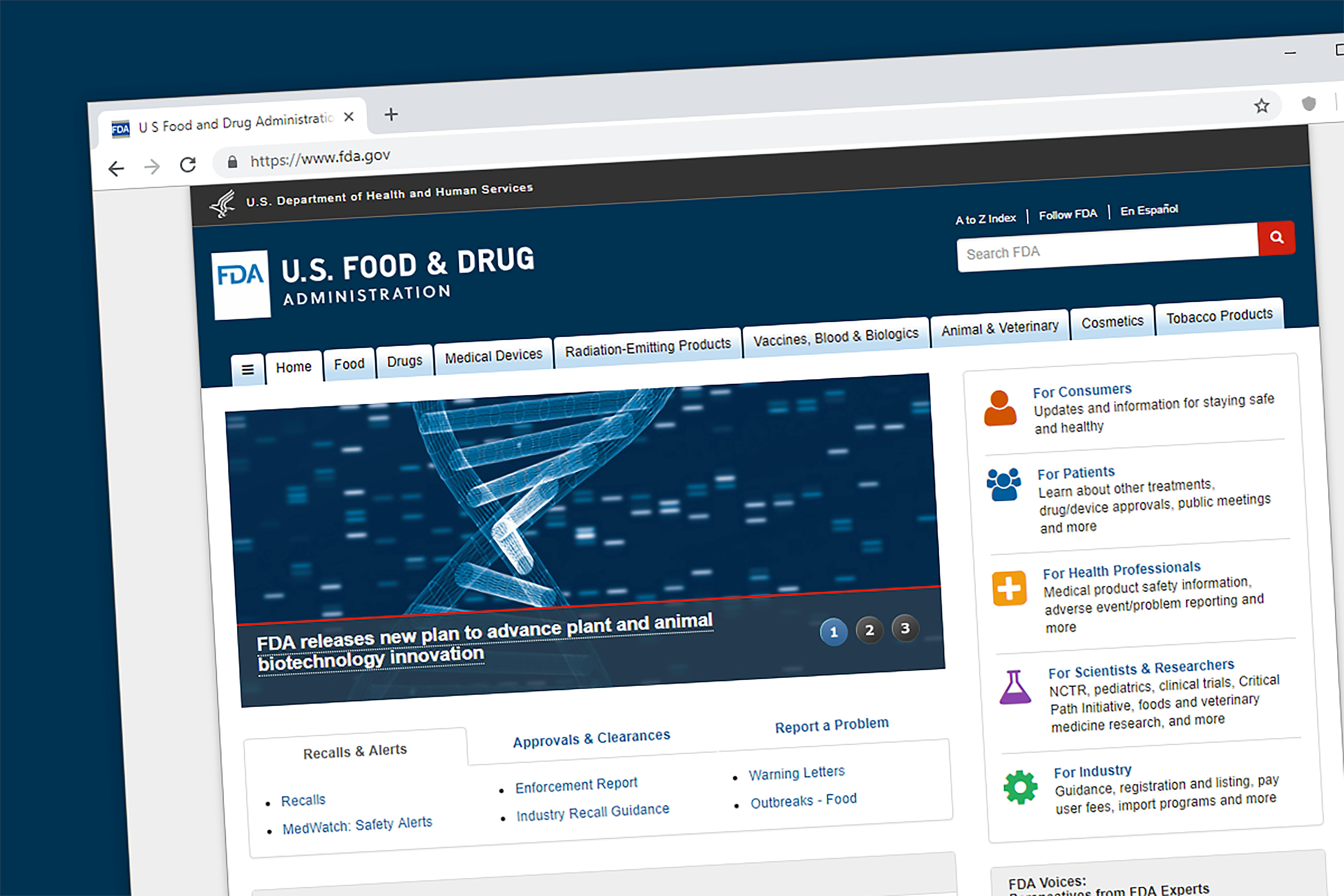 681baac44f5d69233cefd8f3 Dreamstime Xxl 131265010