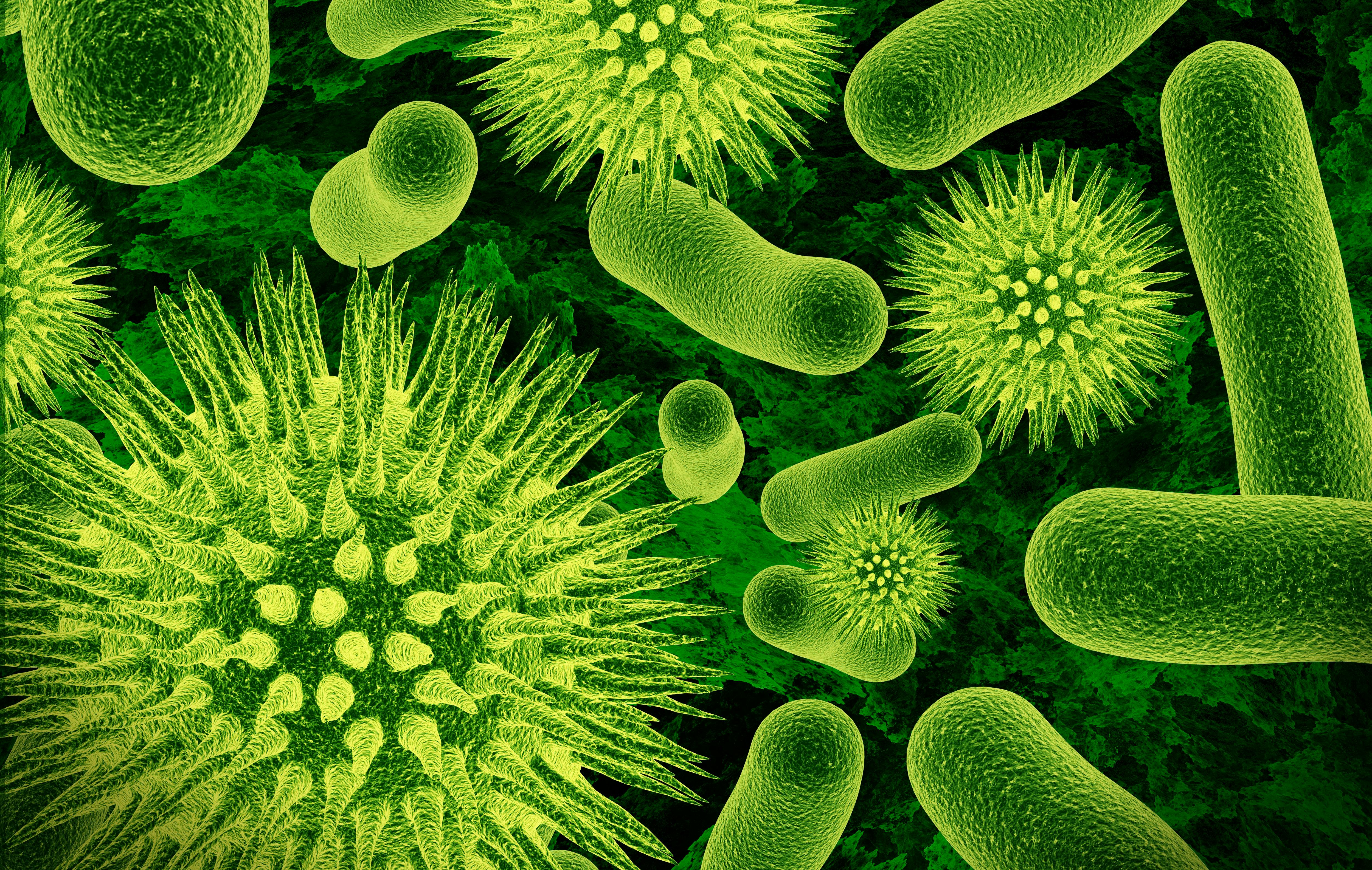 68d42616235d5394489a599e Bacteria
