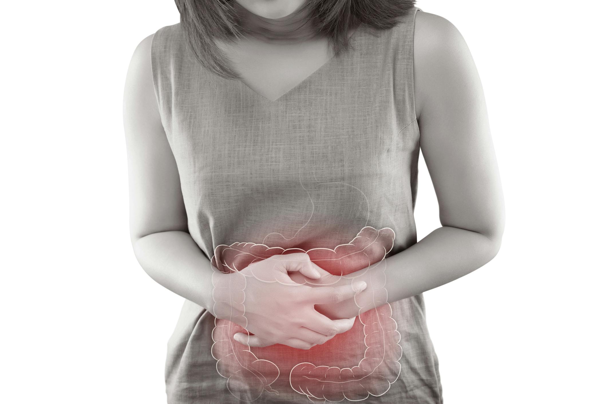 69ab3635794bc71870227cbf Intestine