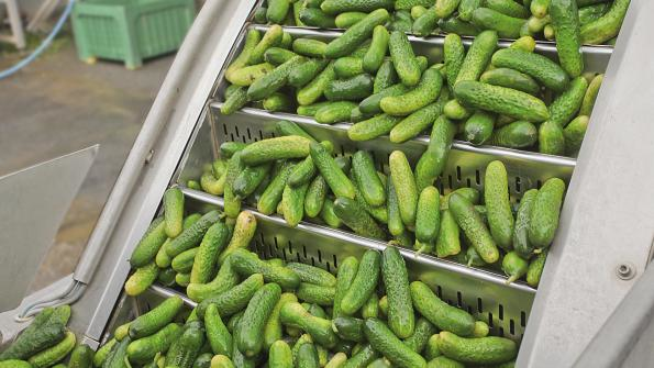 Getting Out of a Pickle with Vacuum Technology Hydraulics & Pneumatics