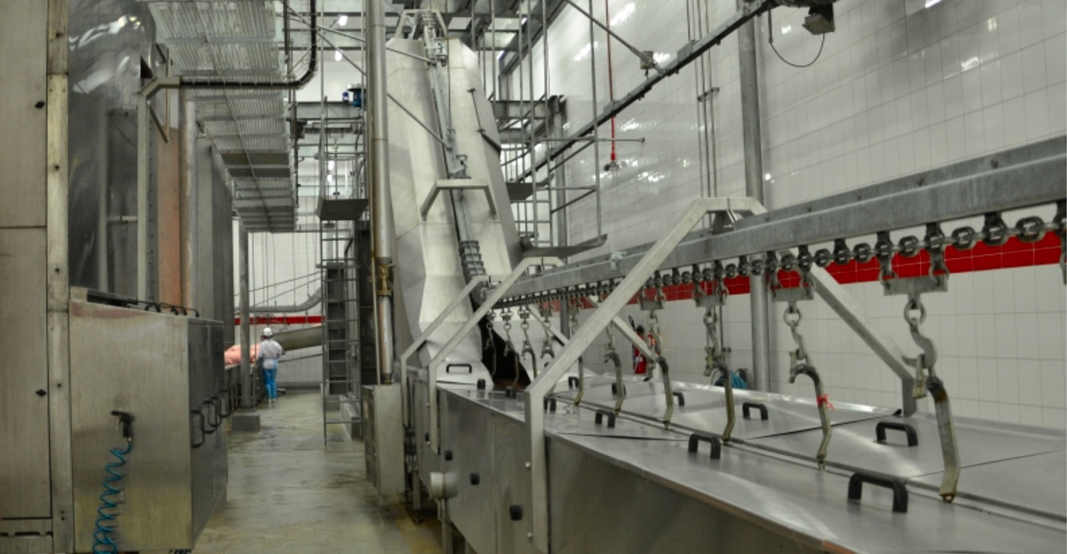 Hog conveyor