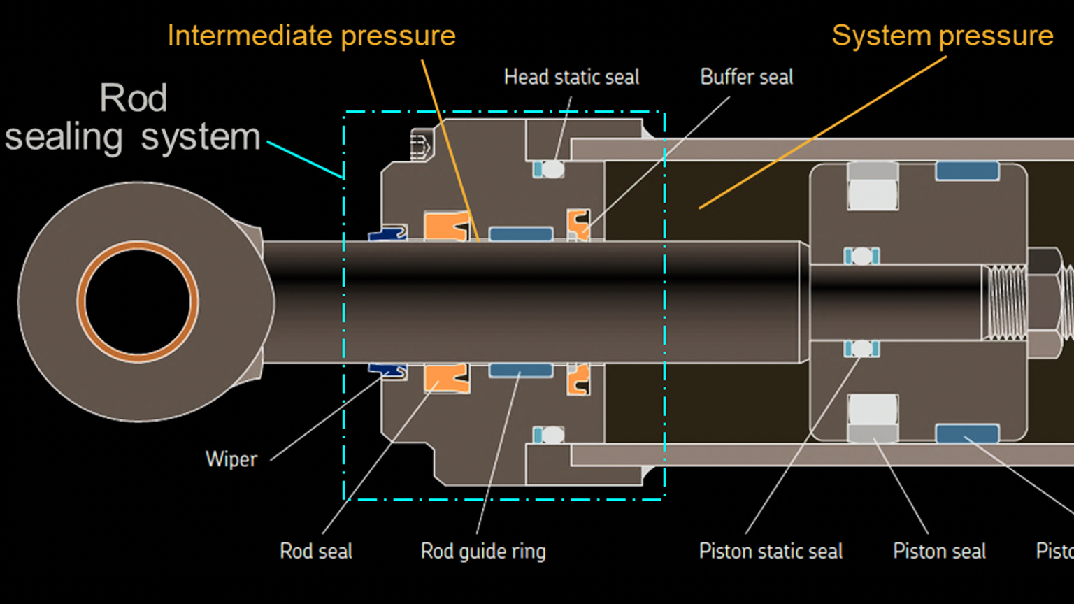 Hydraulic cylinder with a typical sealing arrangement