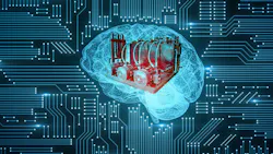 Hydraulic brain Hydraulic brain