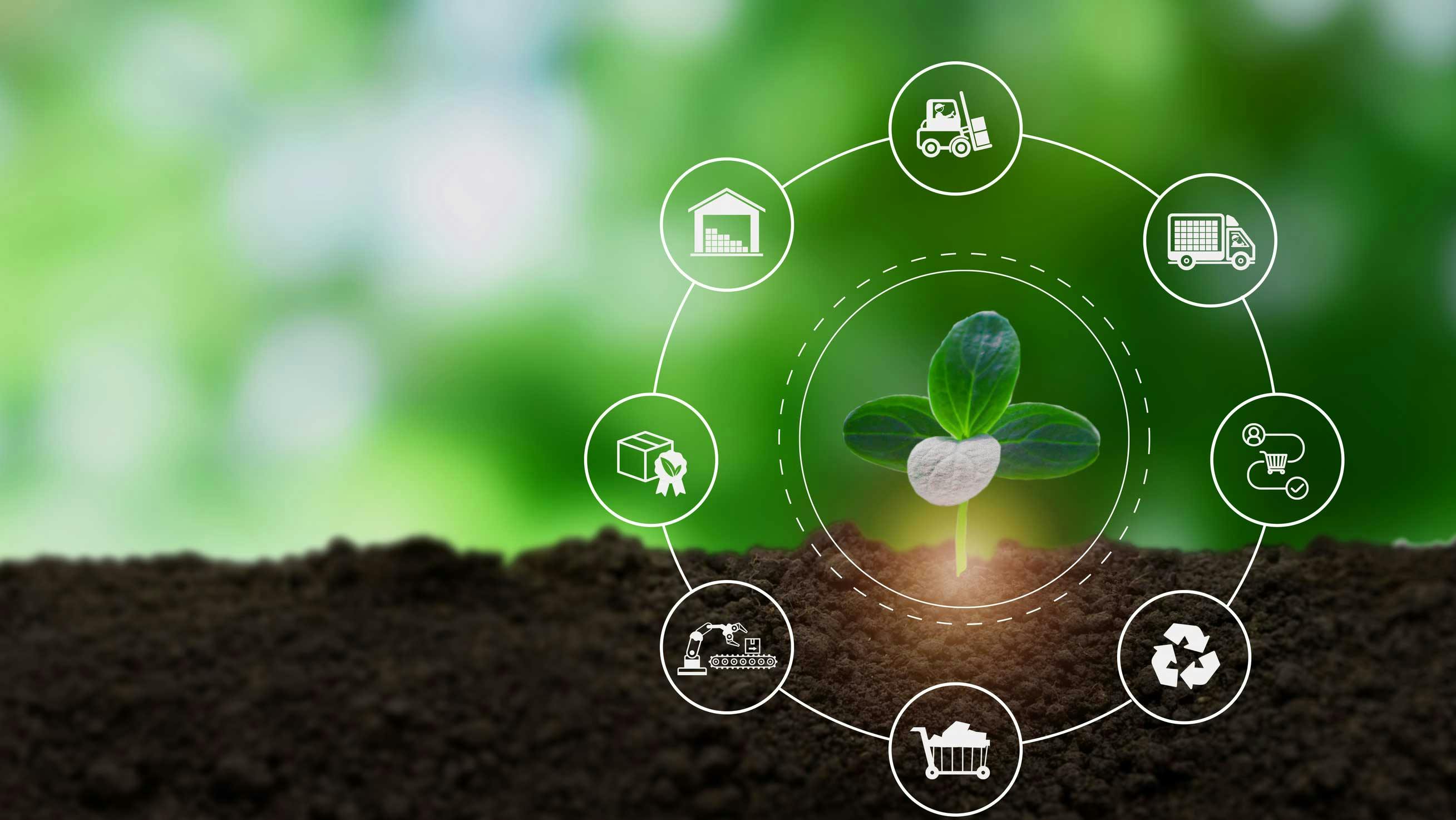 An illustration of sustainable supply chains