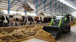 FIRSTGREEN Industries MiniZ electric tracked loader operating in a barn near animals FIRSTGREEN Industries MiniZ electric tracked loader operating in a barn near animals