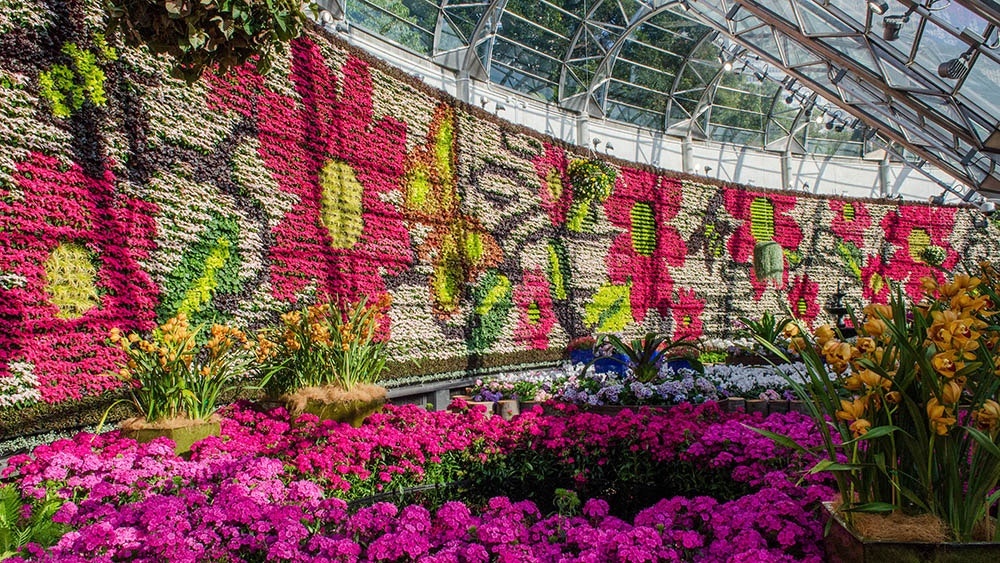 1652337047656 Rbgs 2017 May13500w