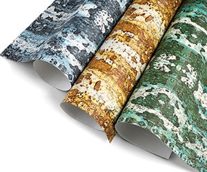 I_0717_Web_S_Obvious_1