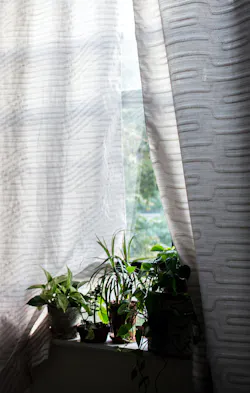 1652341411133 Fildouxtextilesdaybreak11 1652341411133 Fildouxtextilesdaybreak11