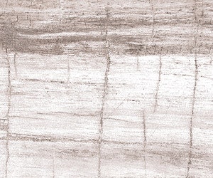 1652341449243 I 0617 Web S Releases 3