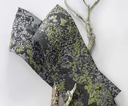 1652341917634 I 0717 Web S Carpet 1 1652341917634 I 0717 Web S Carpet 1