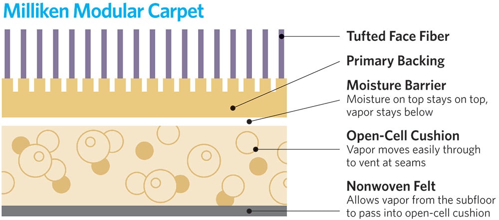 1652342092166 I 0617 Web Prodevol 1 Lg