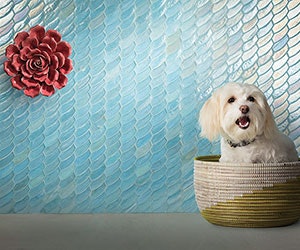 1652342108885 I 0617 Web Surfacing 5