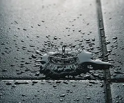 1652342445180 I 0317 Web Ceu 1 1652342445180 I 0317 Web Ceu 1