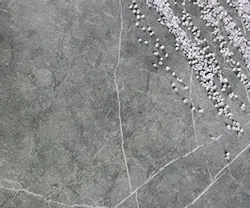 1652342586892 I 0117 Thesize 1652342586892 I 0117 Thesize