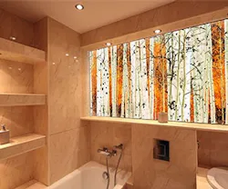 1652343756570 New Photo Spabirchforest900px 1652343756570 New Photo Spabirchforest900px