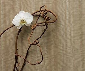 1652343988648 I 1015 Laminart