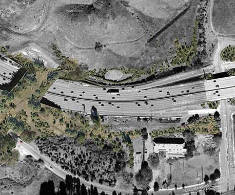 1652344072853 I 1015 Web Ntw 1