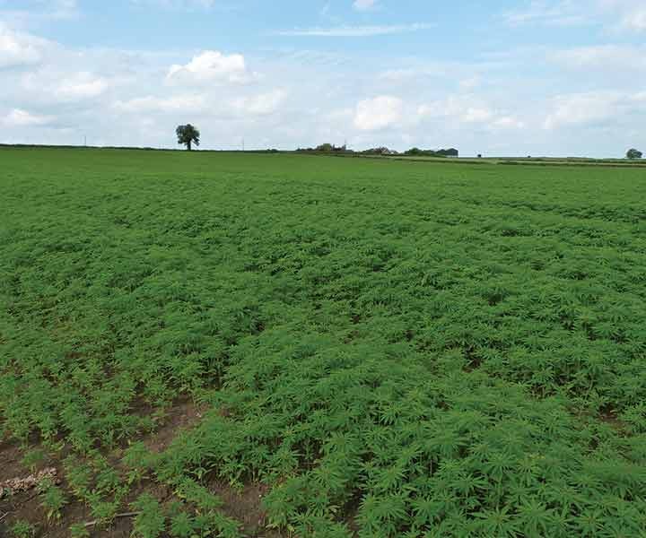 1652344114943 I 1015 Web Profile 1